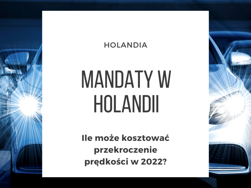 [HOLANDIA] Wysokość mandatów w Holandii w&nbsp;2022