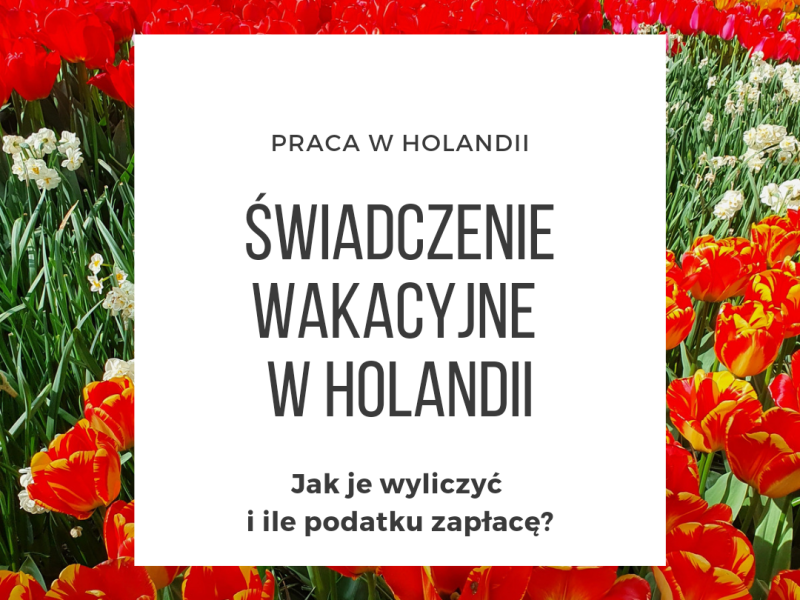 [HOLANDIA] Wakacyjne w Holandii – ile wynosi na&nbsp;rękę?