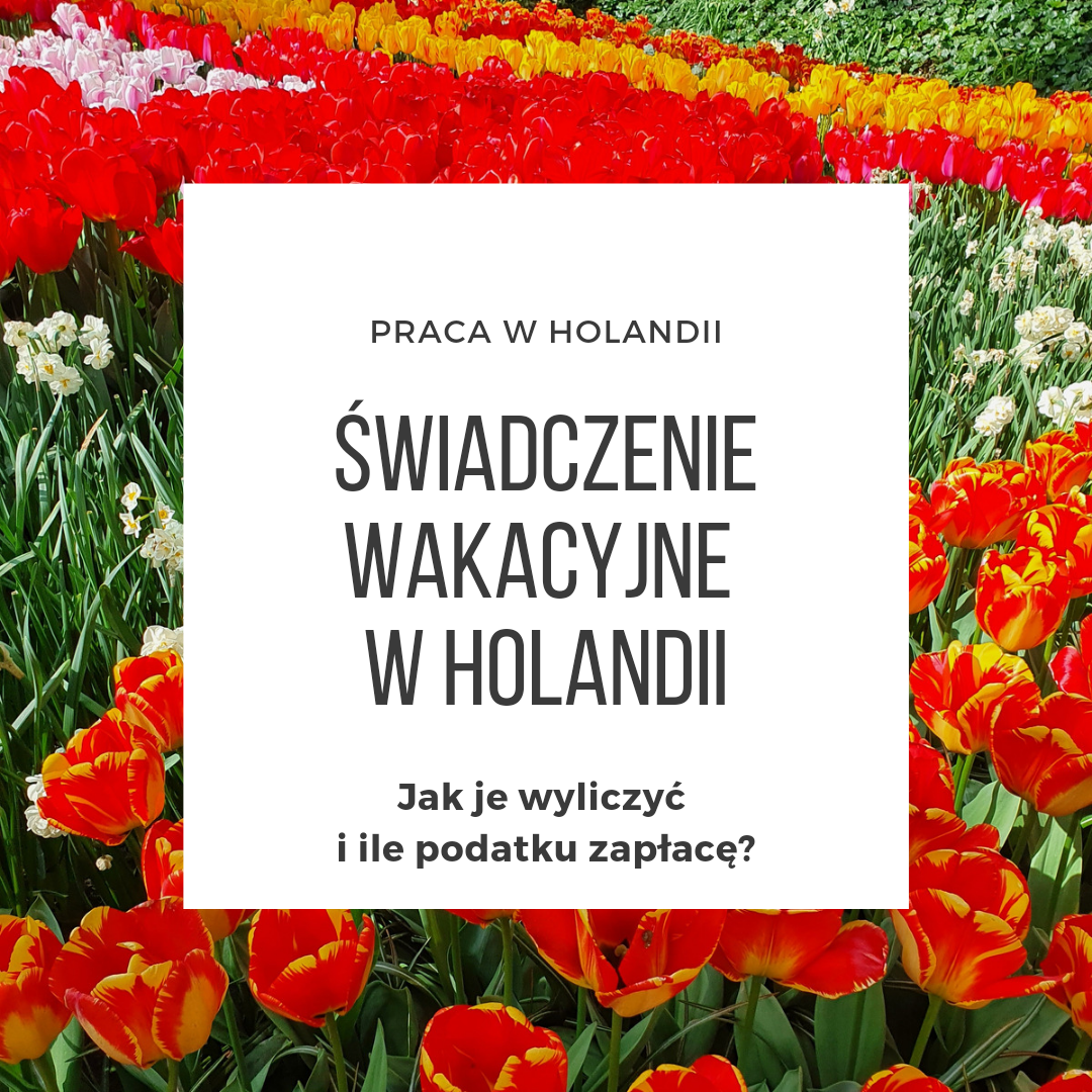 [HOLANDIA] Wakacyjne w Holandii – ile wynosi na&nbsp;rękę?